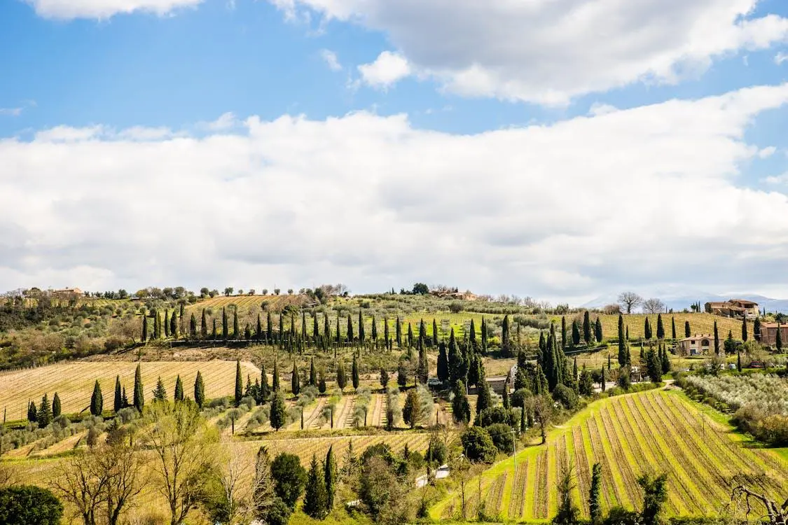 Rolling green countryside with rows of cypress trees, vineyards, and scattered buildings under a partly cloudy sky